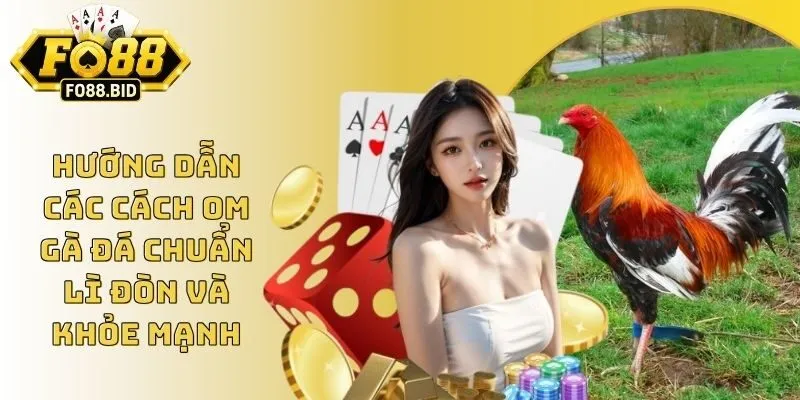 Hướng Dẫn Các Cách Om Gà Đá Chuẩn Lì Đòn Và Khỏe Mạnh