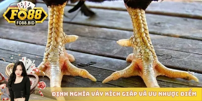 Vảy Gà Kích Giáp - Cách Biết Chiến Kê Đá Hay Từ FO88 2 Định nghĩa vảy kích giáp và ưu nhược điểm